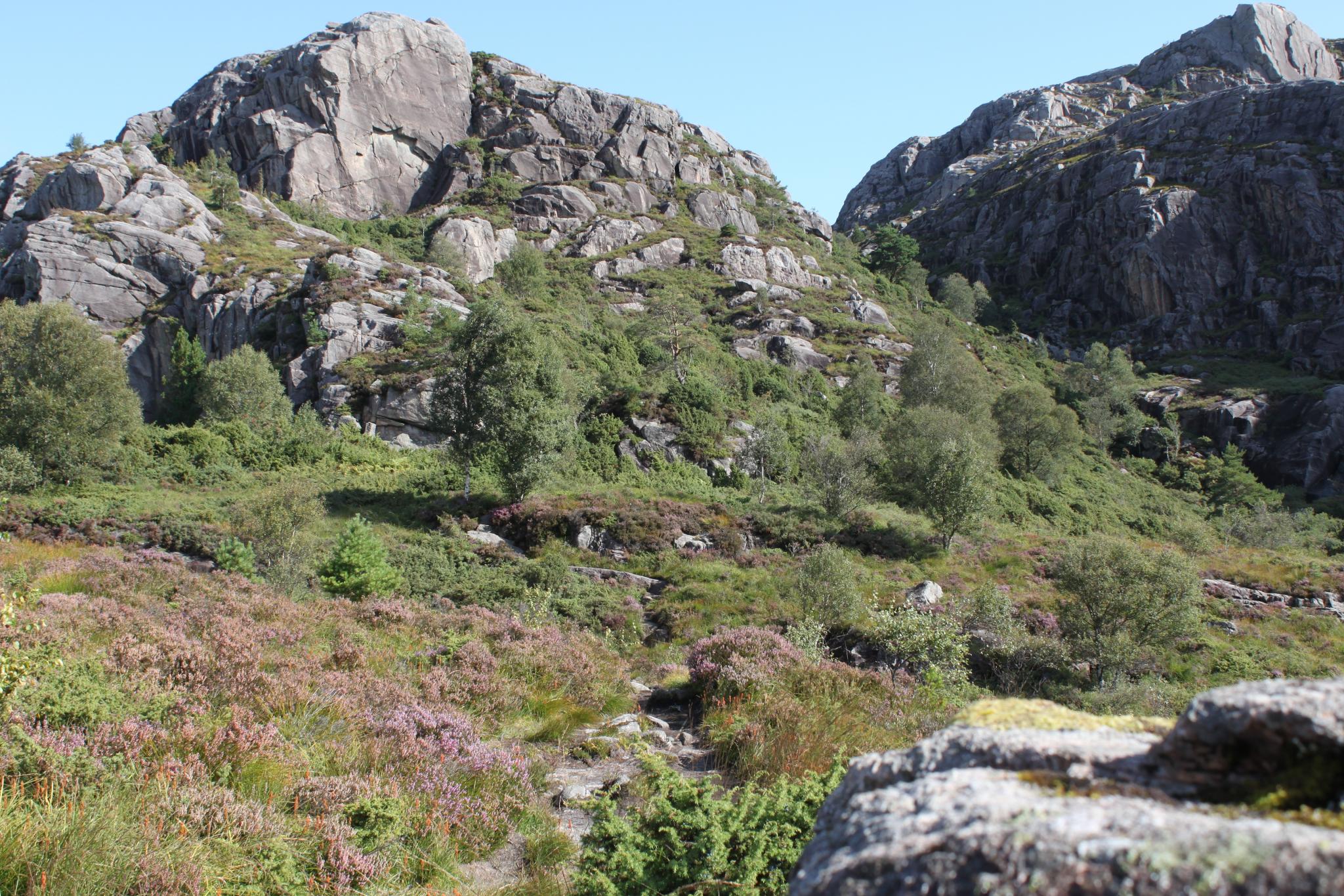 Nærliggende turområde